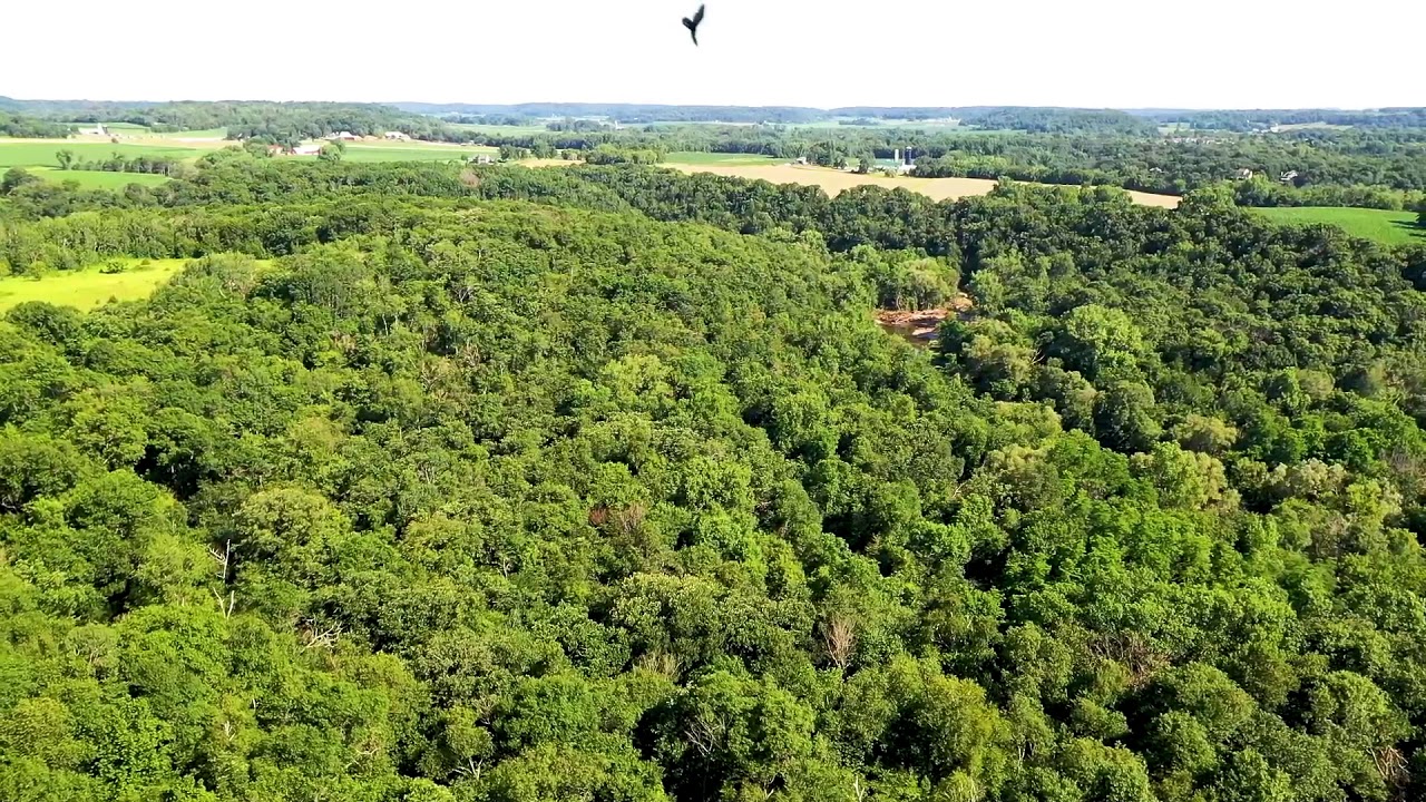 KRLT Community Forest on the Kinni   Summer 2020