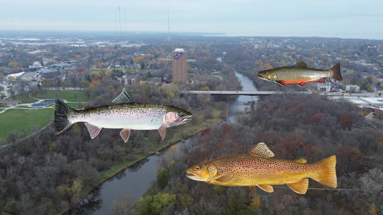 THE TRIPLE - Brook Trout, Rainbow Trout, and Brown Trout Fishing + Smoked Trout Dip