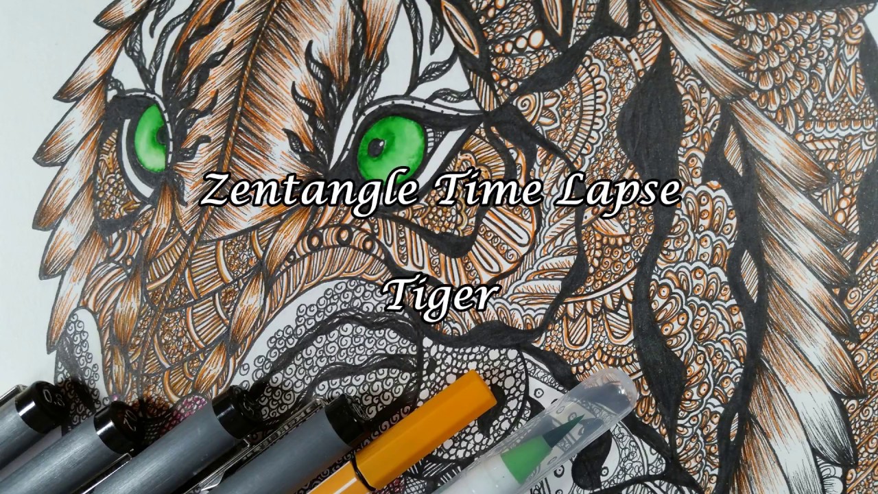 Zentangle Time Lapse - Tiger
