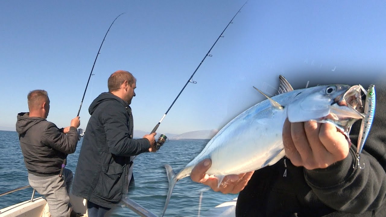 Pecanje na varalicu kod ušća reke Drim u Jadransko more - Albanija II deo | Fishing at sea