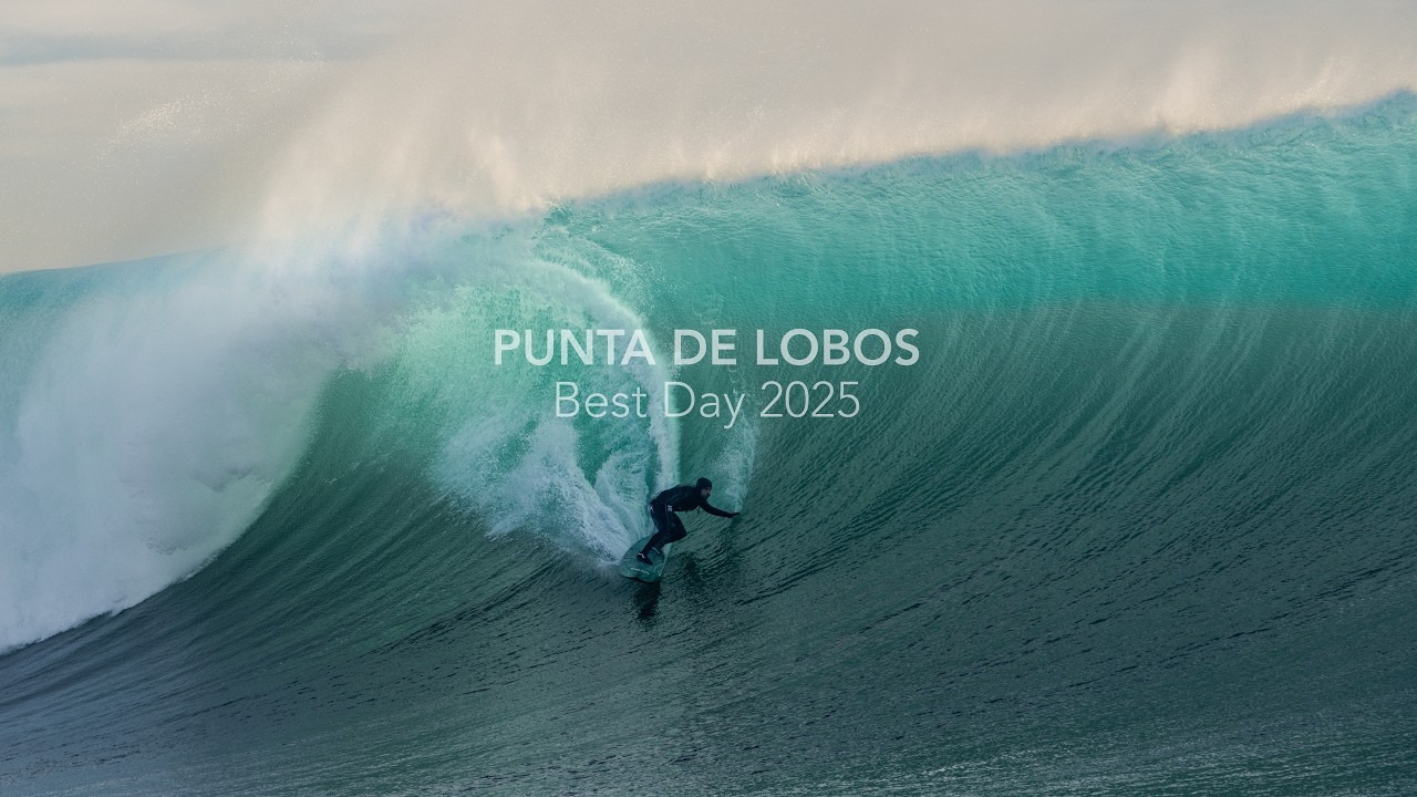 PUNTA DE LOBOS BEST DAY 2025 | CHILE