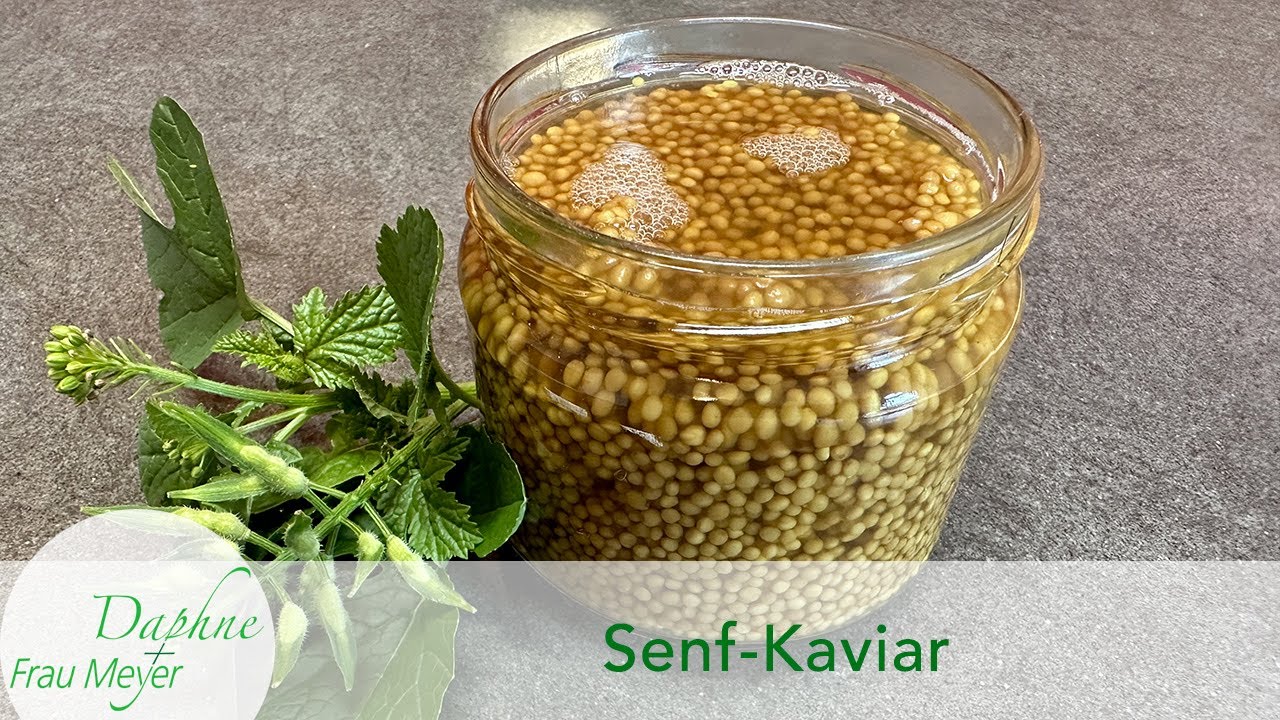 Senf-Kaviar von gelber Senfsaat #senfkörner #senfsaat #senfkaviar