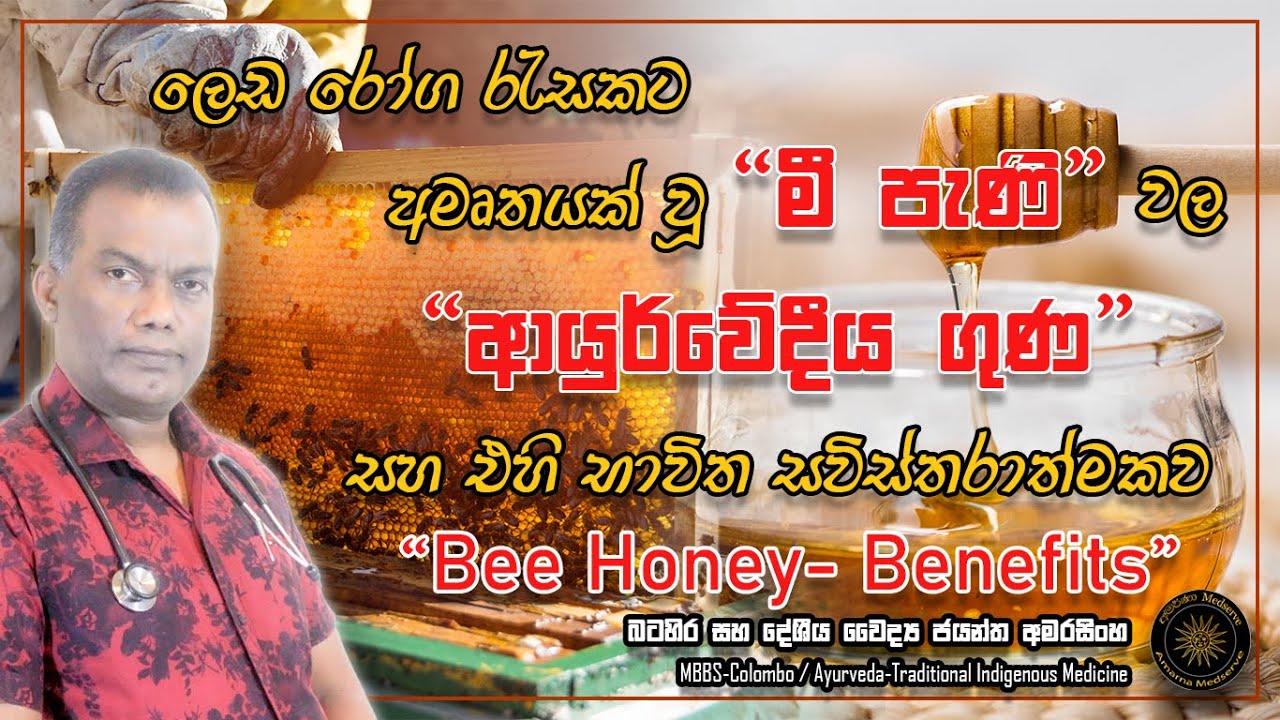 ලෙඩ රෝග රැසකට අමෘතයක් වූ මී පැණි වල ආයුර්වේදීය ගුණ සහ එහි භාවිත සවිස්තරාත්මකව | Bee Honey - Benefits