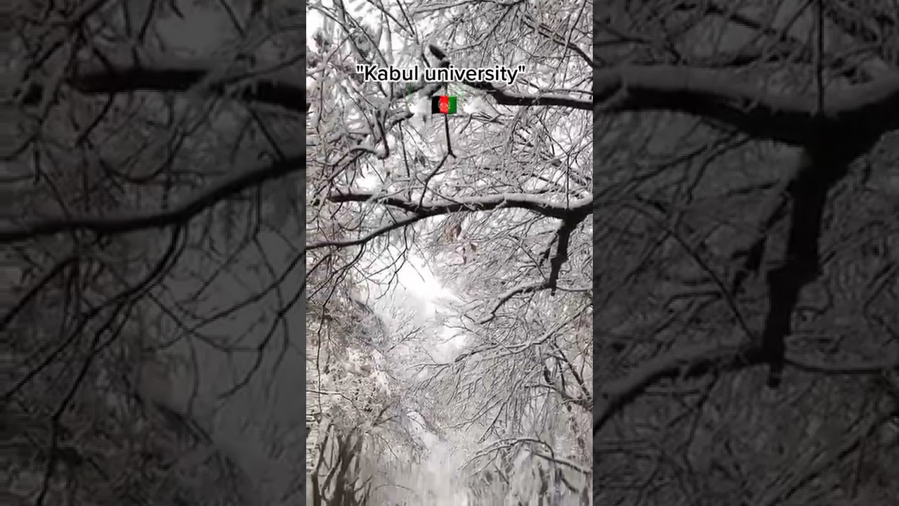 Kabul University Snowfall. 