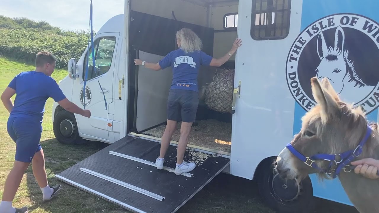 IWDS First Rehoming