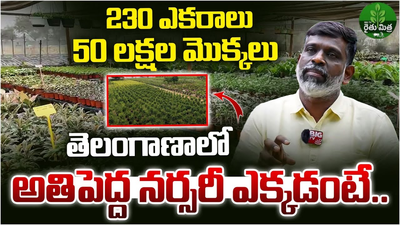 230 ఎకరాలు, 50 లక్షల మొక్కలు.. అతిపెద్ద నర్సరీ ఎక్కడంటే | Heartyculture Nursery | Kanha Shanti Vanam