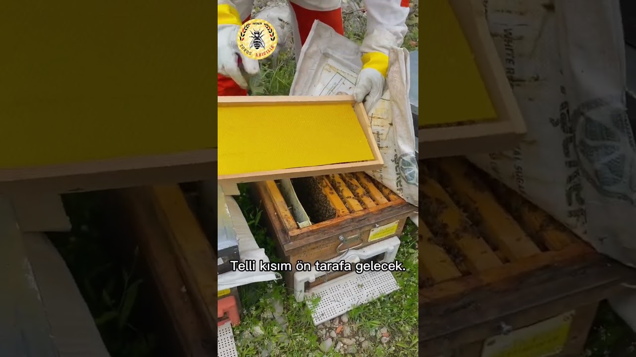 Sıkışan Kovanlara Ham Petek Verme İşlemi | Arıcılık