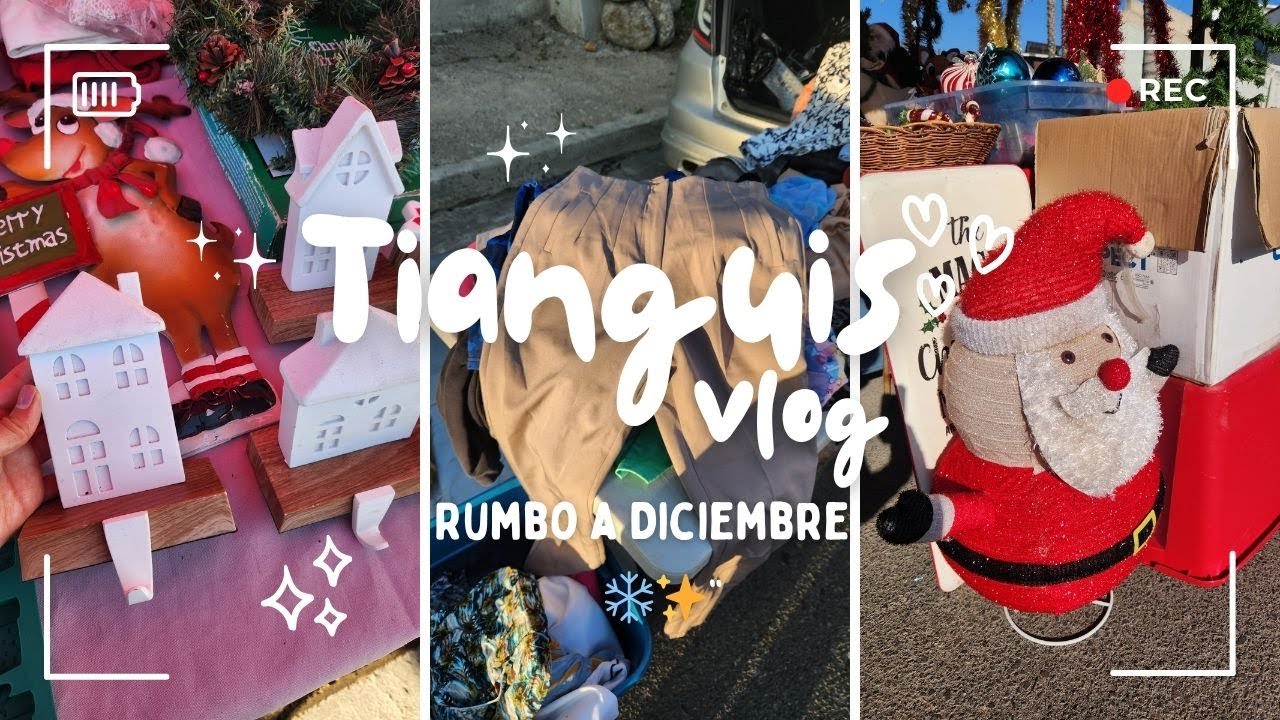 LLEGÓ LA NAVIDAD AL TIANGUIS 🎄✨ | RECORRIDO Y DECORACIÓN INCREÍBLE EN EL SOBRES