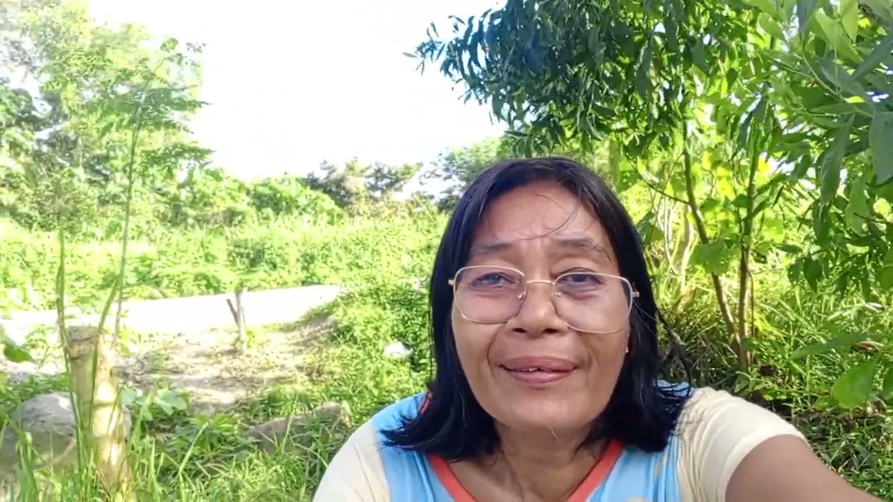 Nagsibak ug kahoy c palong