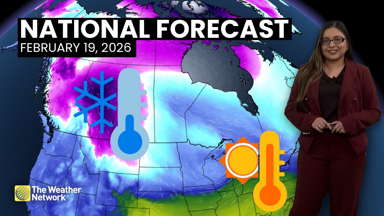 Национальный прогноз погоды в Канаде — 19 февраля 2026 г. | #WeatherAM