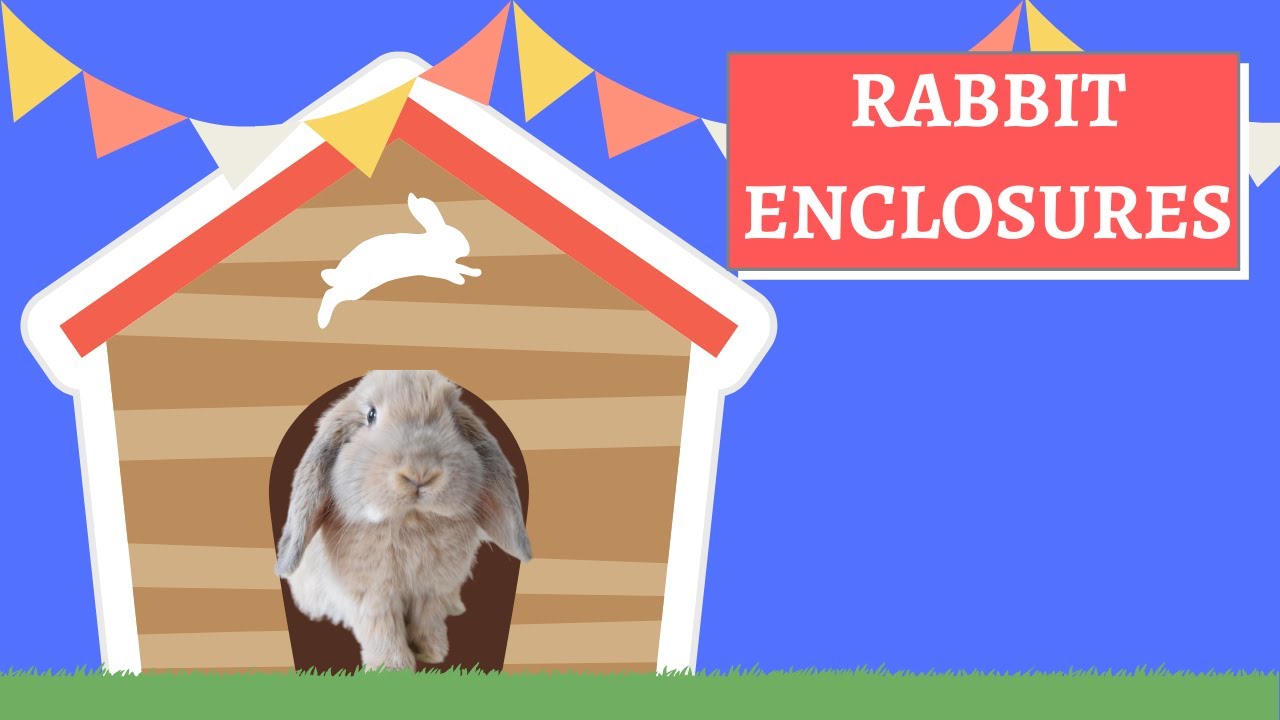 Types of Rabbit Enclosures
