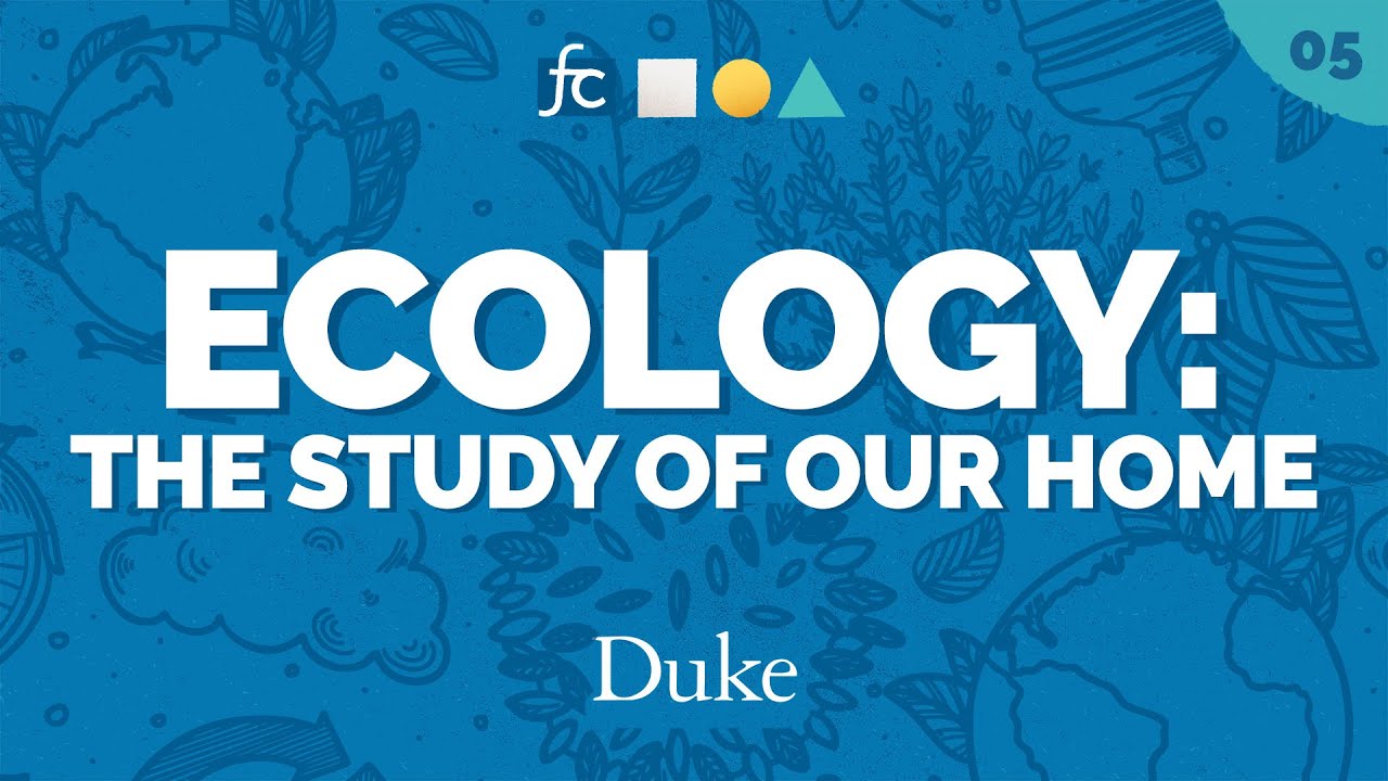Ecology: The Study of Our House | Fundamental Concepts