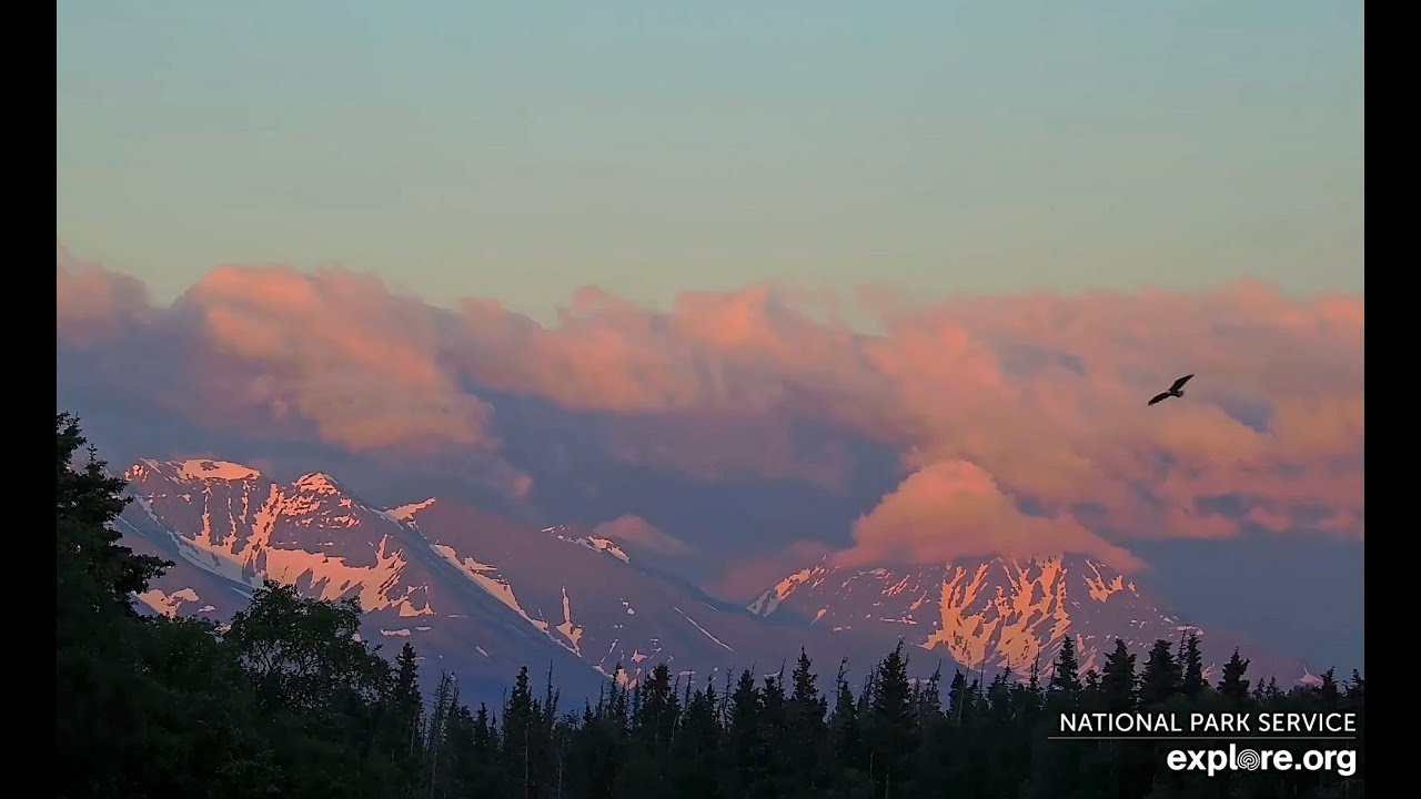 25 Jun 2024: Katmai Sunset at Brooks River Live (explore.org)