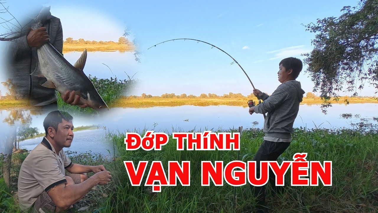 CÂU CÁ TRA VƯỜN QUỐC GIA TRÀM CHIM | VẠN NGUYỄN GỌI HUỲNH KHOA TRẢ LỜI