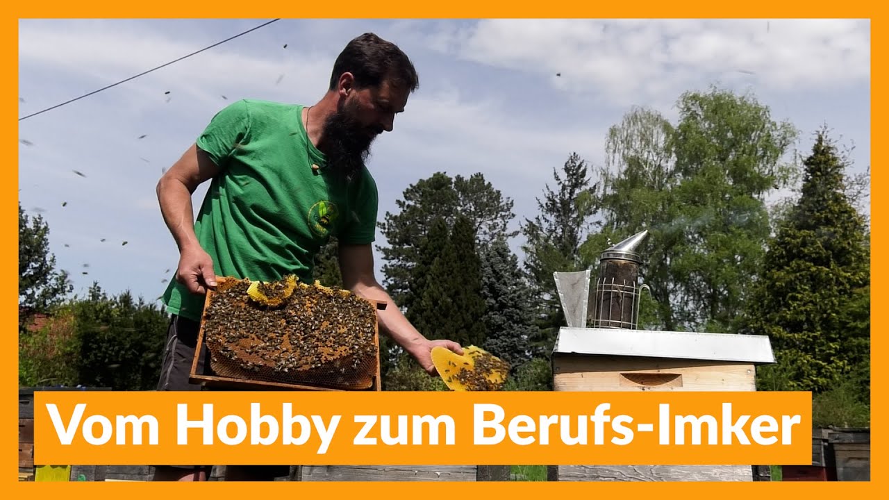 Vom Hobby zum Berufs-Imker
