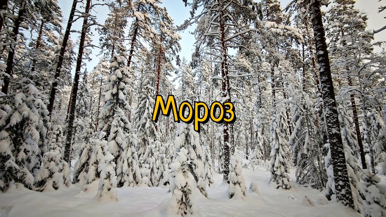 Мороз трескучий