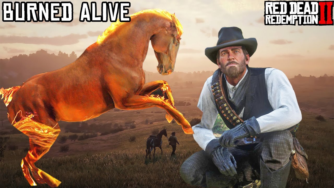 Я убил свою лошадь всеми возможными способами в Red Dead Redemption 2