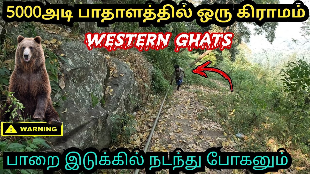 5000அடி பாதாளத்தில் வாழும் இருளர் மக்கள்|nilgiris tribal village|ariyur