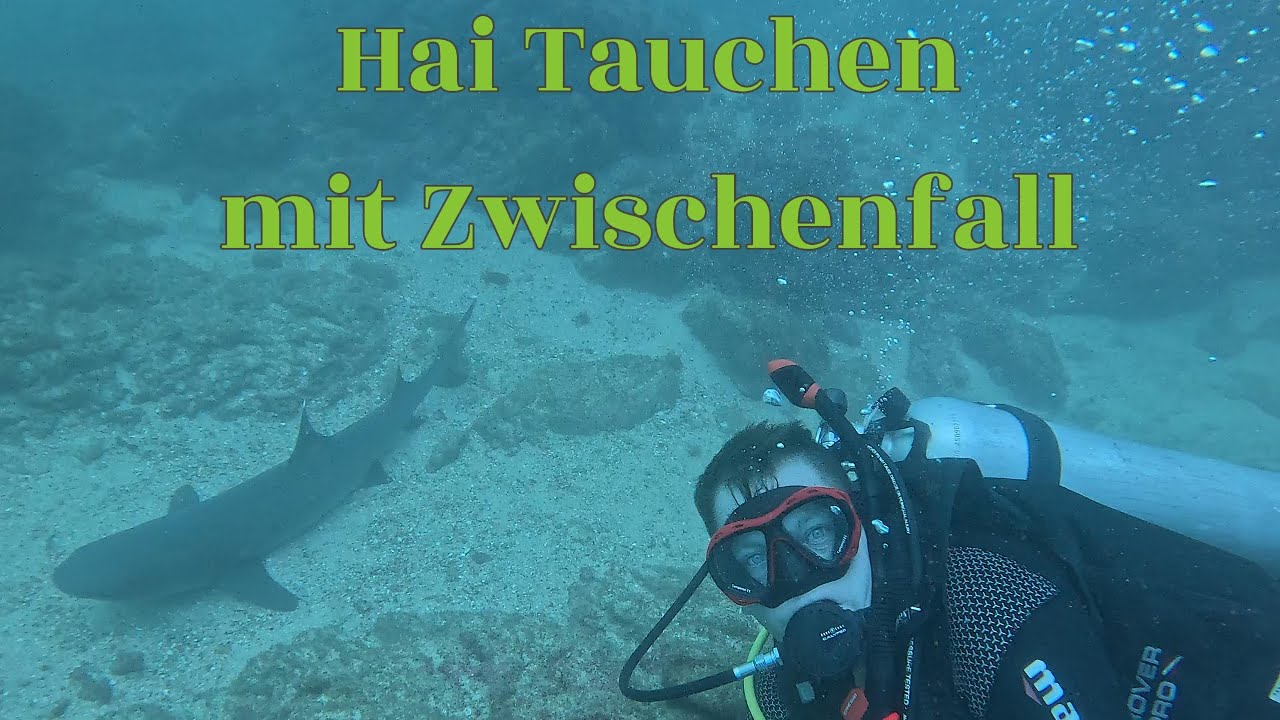 Hai Tauchen mit Zwischenfall - Shark diving with incident! Costa Rica Scuba