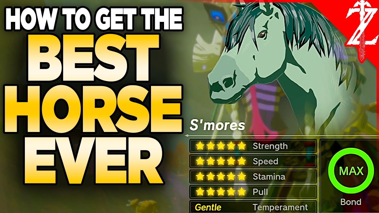 How to Get a 20⭐️ BEST Horse in Tears of the Kingdom (All Malanya Recipes)