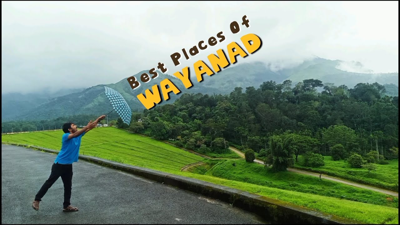 Must Visit Places Of Wayanad | Waterfalls & View Points In Wayanad | Unique Natural Spots In Wayanad