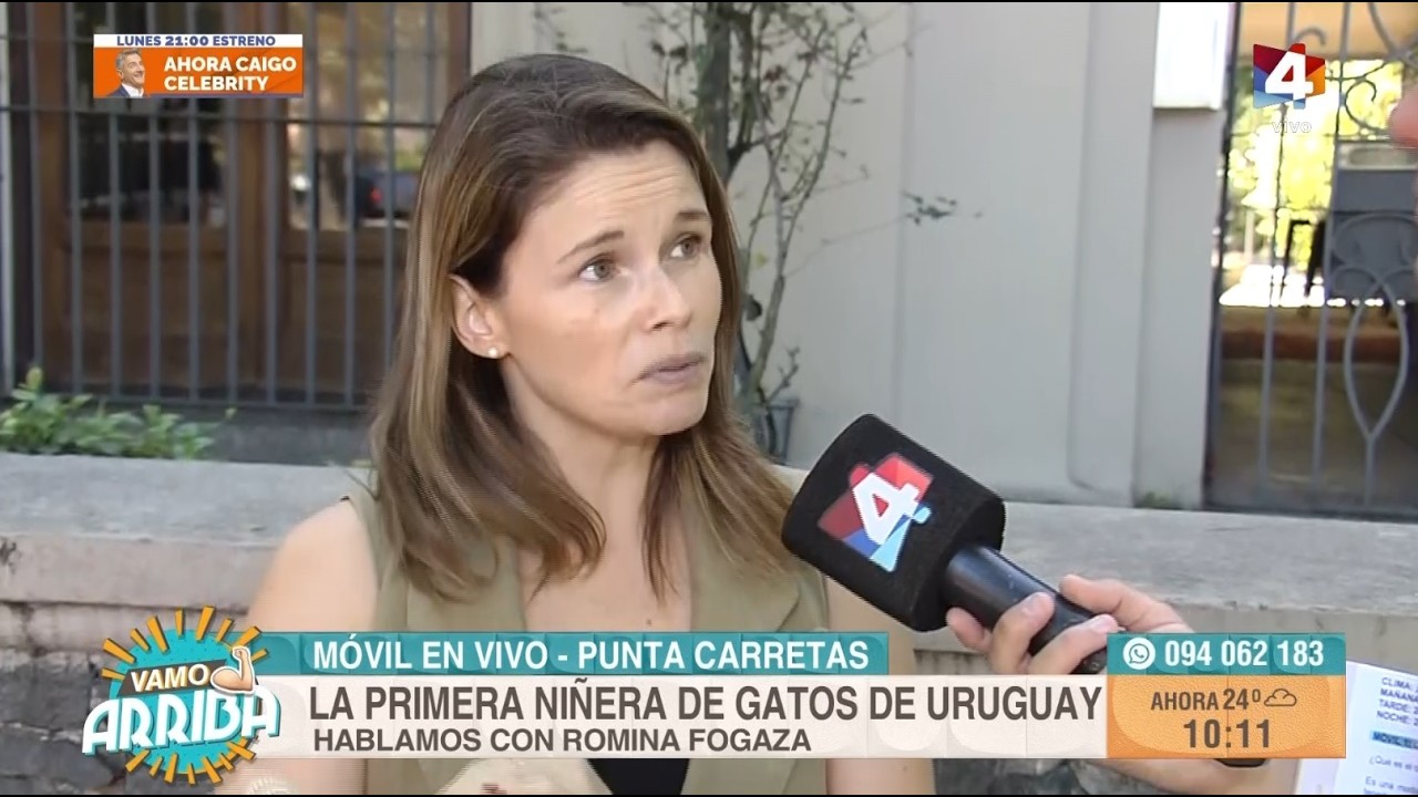 Vamo Arriba  - Romina Fogaza: la primera niñera de gatos de Uruguay