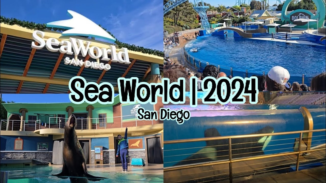 SEA WORLD SAN DIEGO | 2024