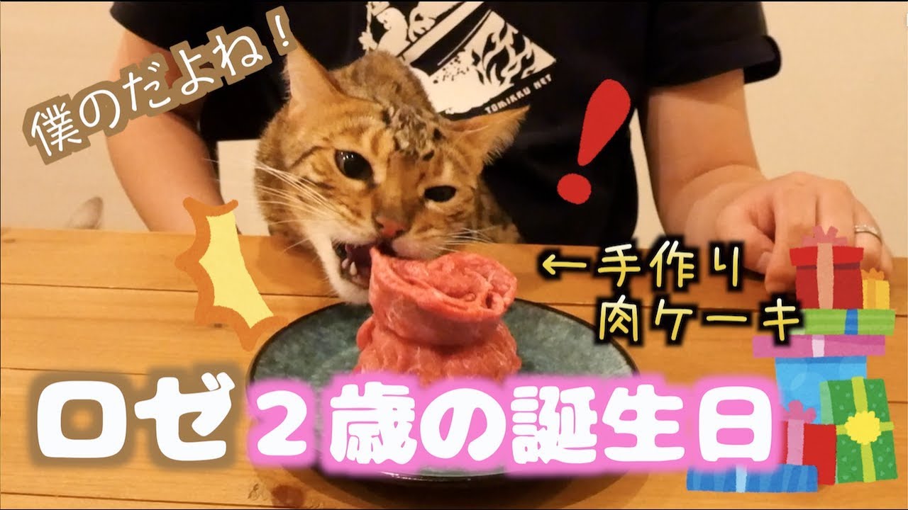 ロゼ2歳の誕生日に肉ケーキ作ってお祝いしたよ！！　2019/2/26