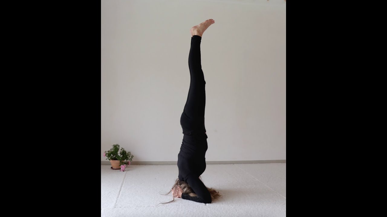 Der Kopfstand in 14 Tagen -  Yoga Arte