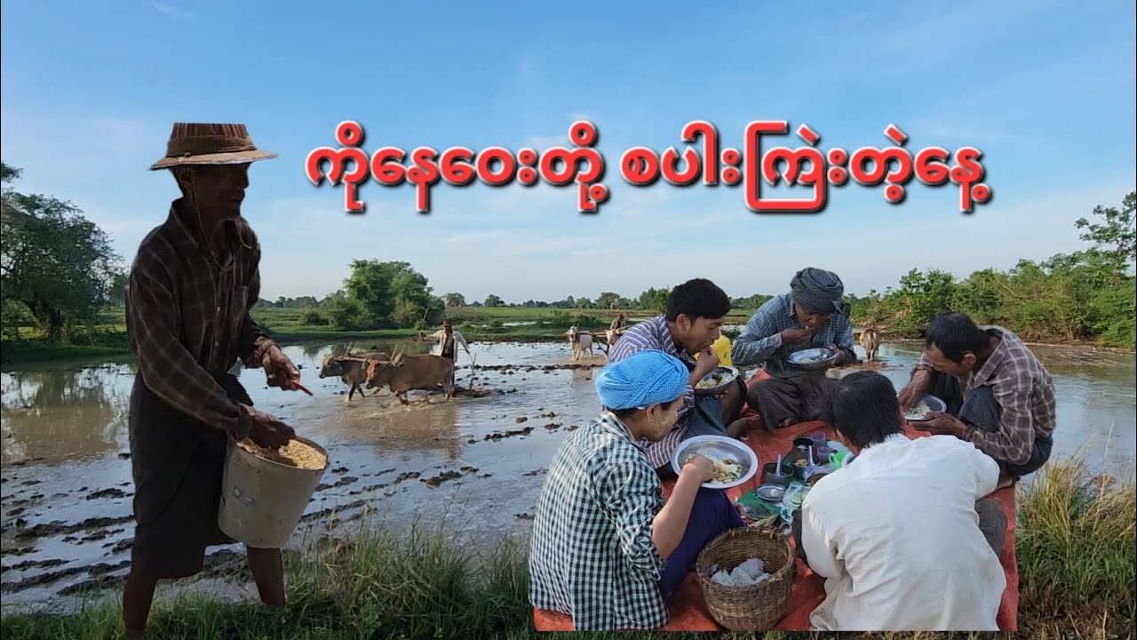 အခုလို အညာဓလေ့ တောဓလေ့ video လေးတွေကြိုက်နှစ်သက်ရင် Subscribe လေးလုပ်ခဲ့ပေးပါဦးဗျို့