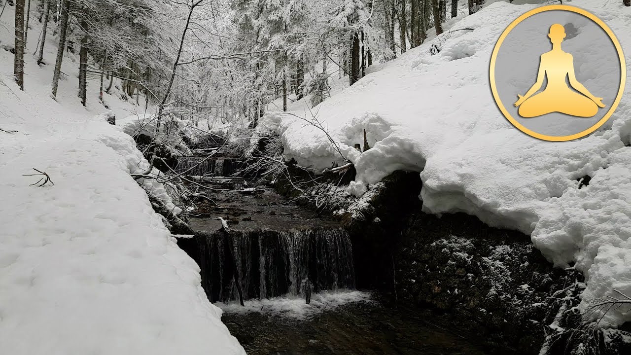 Forest Winter River - Snowy Stream - Relaxing Nature Sounds (Ultra HD 4K)