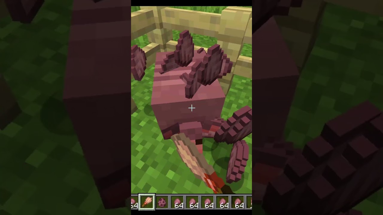 DON'T Brush Armadillos #minecraft