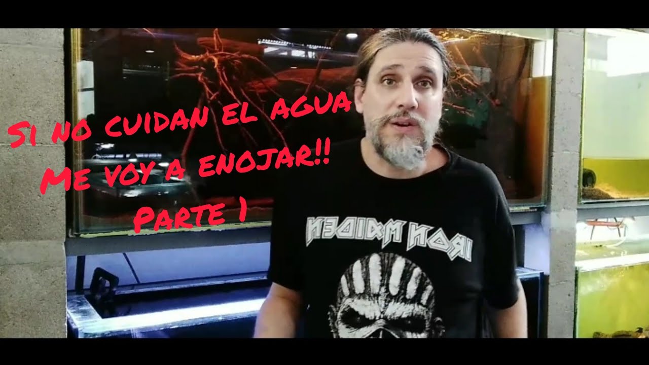 Agua en el acuario. Por que no se le presta la atención necesaria? Parte 1