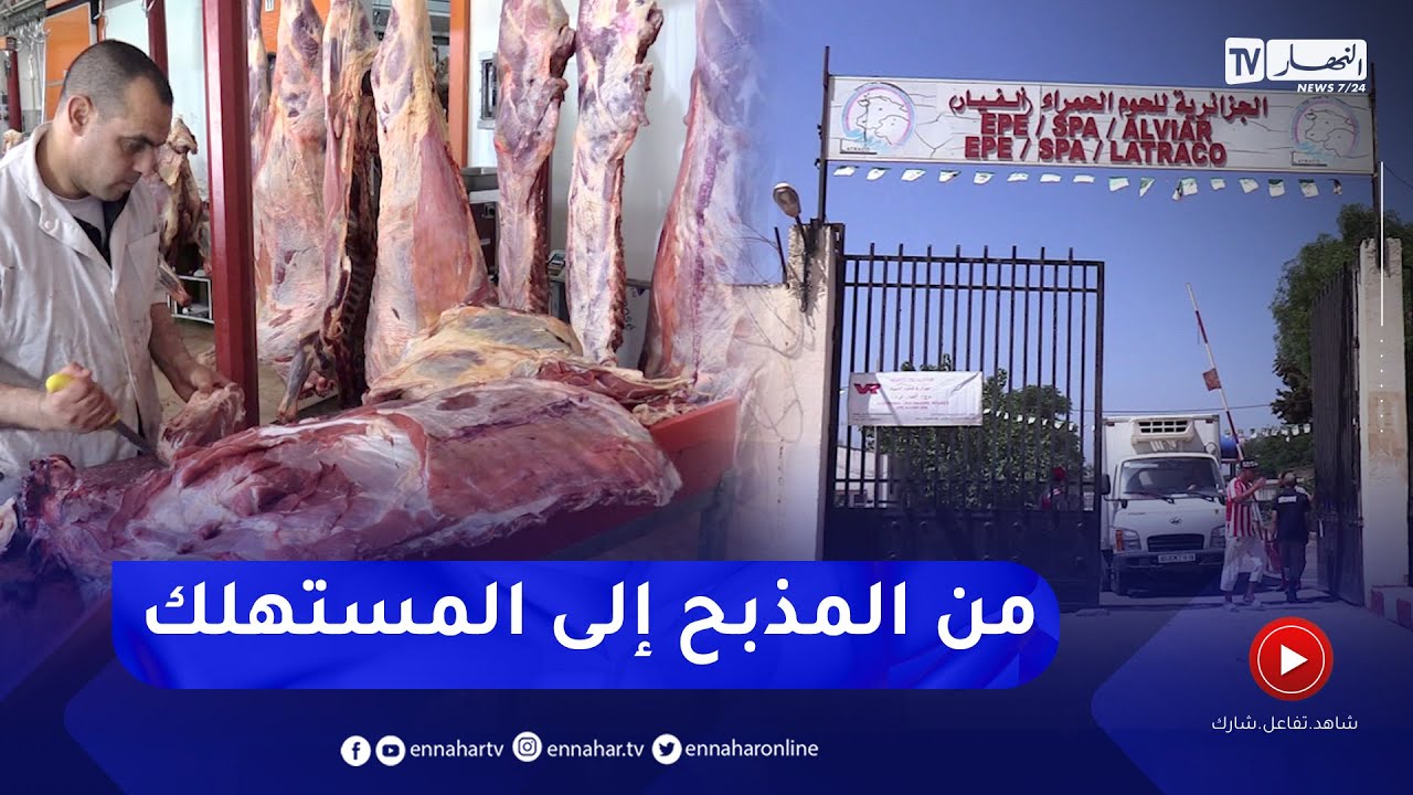 تسويق اللحوم الحمراء من المذبح إلى المستهلك بـ 1450 دج للكلغ