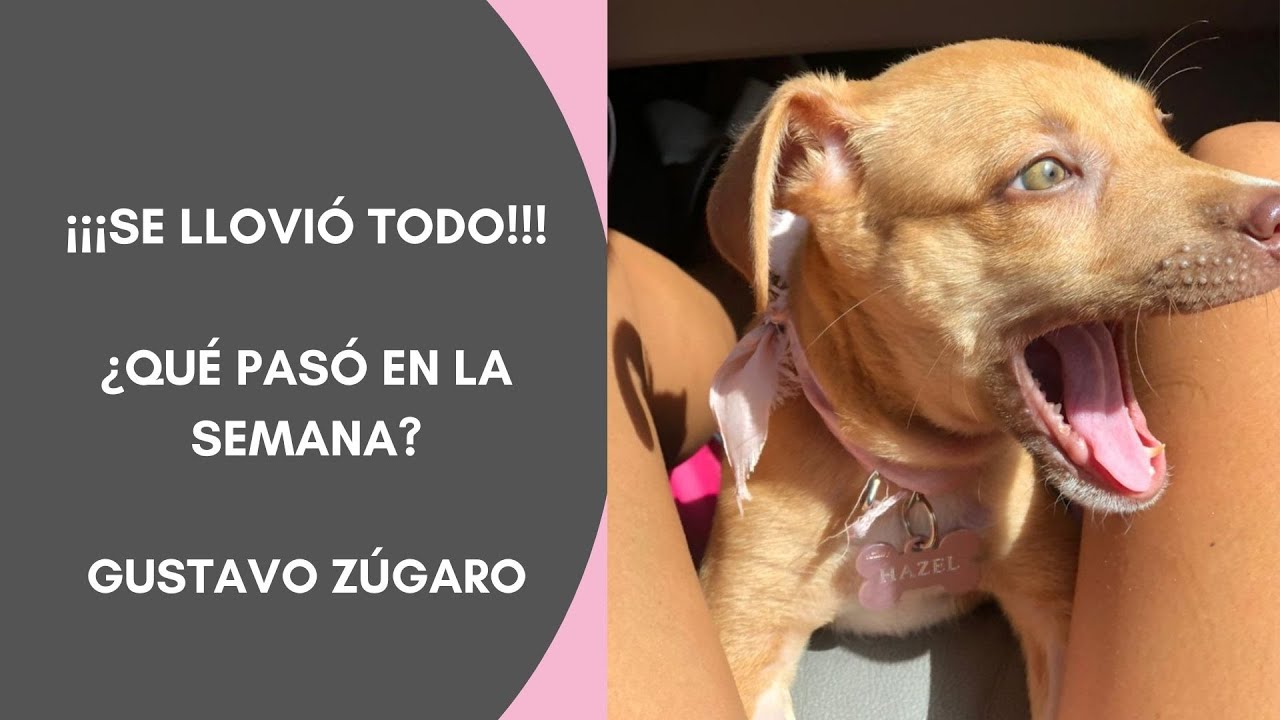 GZ - INVERSIÓN DE VIDA - Una semana de lluvia, Hazel internada, así se atrasa todo una semana