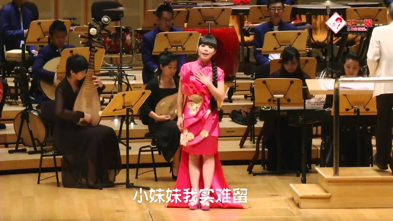 王二妮《新加坡演唱会》精简字幕版