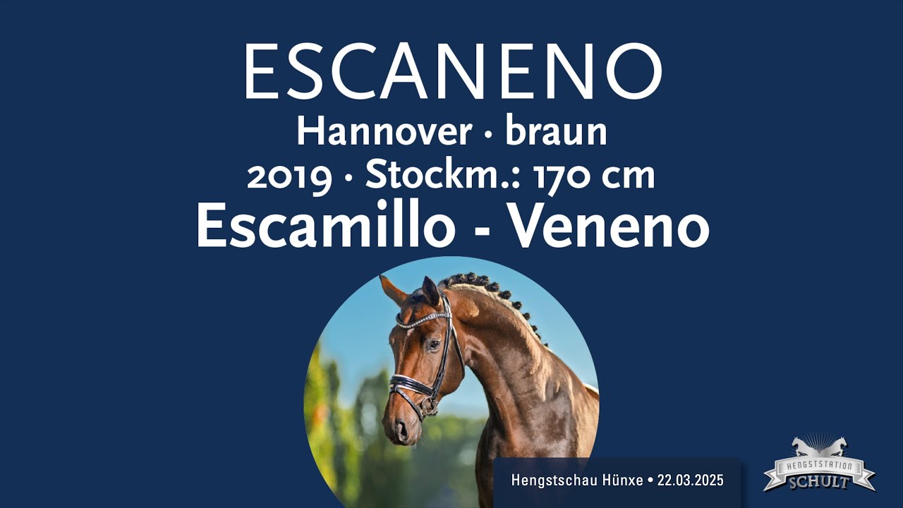 Escaneno, Hengstschau Schult 2025