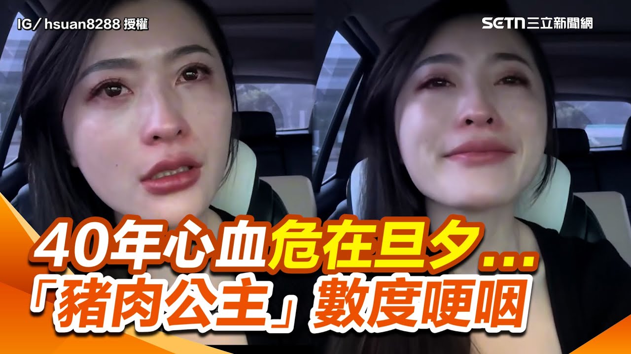 非洲豬瘟爆發！養豬畜牧業40年心血危在旦夕...「豬肉公主」談非洲豬瘟數度哽咽：最害怕的事還是發生了｜三立新聞網 SETN.com