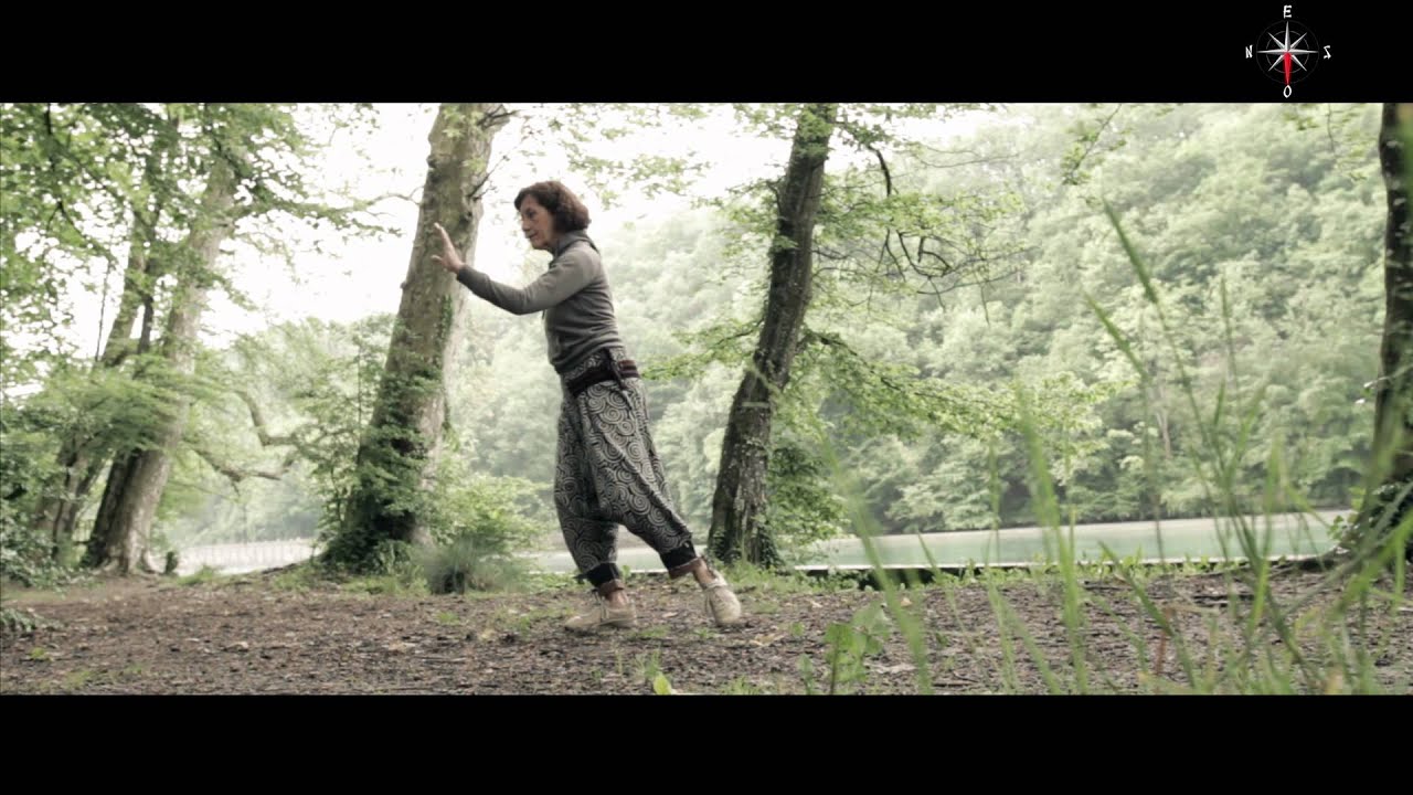 Yangjia Michuan Taiji Quan - 13 Postures