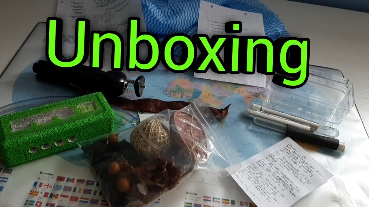 Ameisenunboxing  3 neue Arten (My first exotic ant)