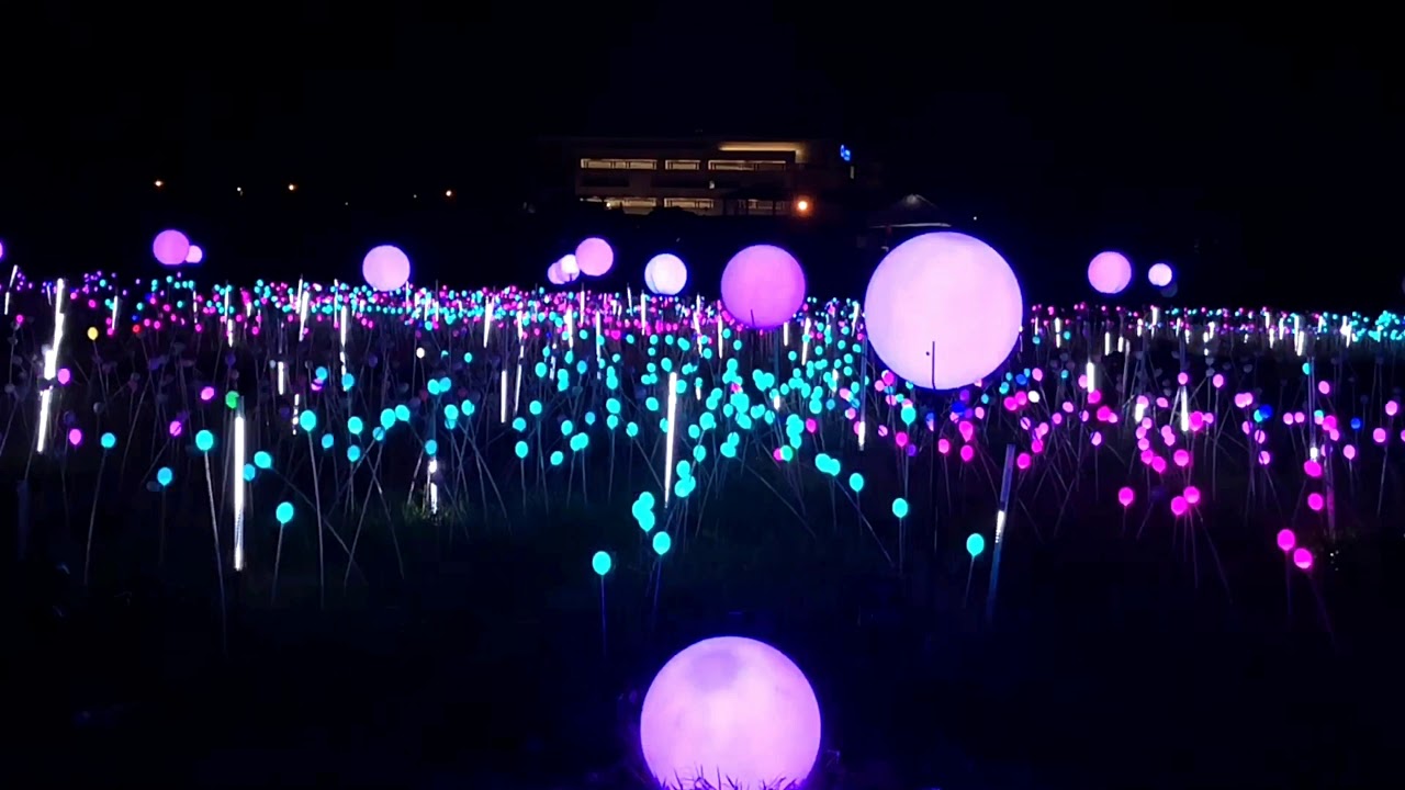 MAGICAL FIELD OF LIGHTS