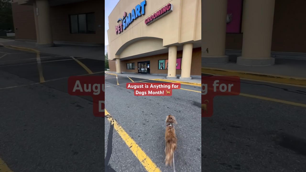 It&rsquo;s Anything for Dogs Month! 🐶🐾&nbsp;Keep an eye on our social channels in August for exclusive offers