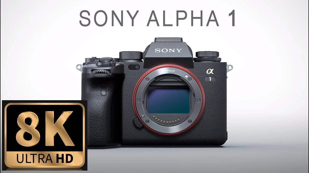 Sony A1 8K Video Samples - 8K Video