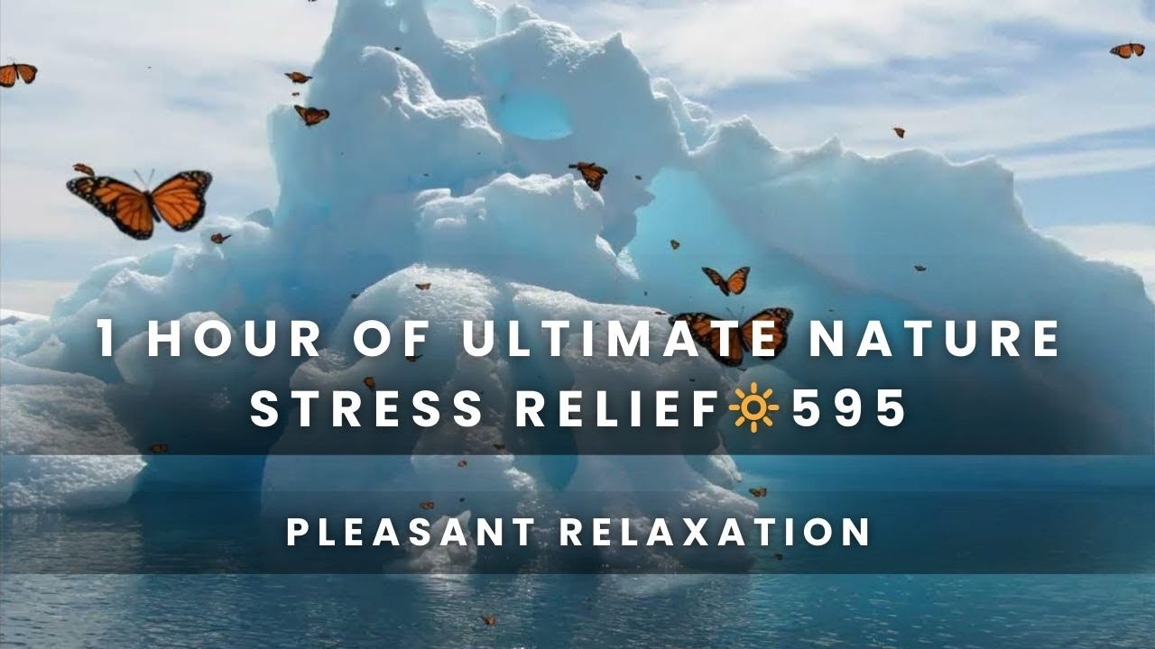 1 Hour of Ultimate Nature Stress Relief 595