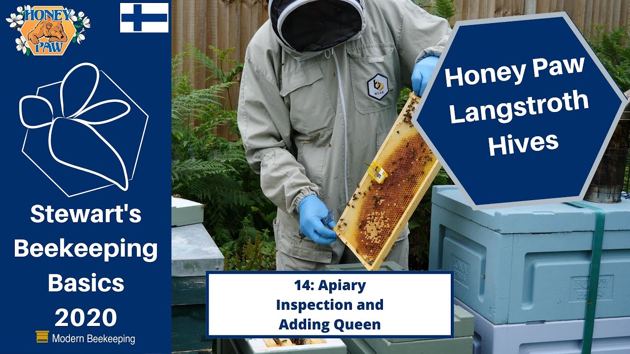 Honey Paw 14 | Apiary Inspection and Adding Queen - Stewart Spinks at the Norfolk Honey Co.