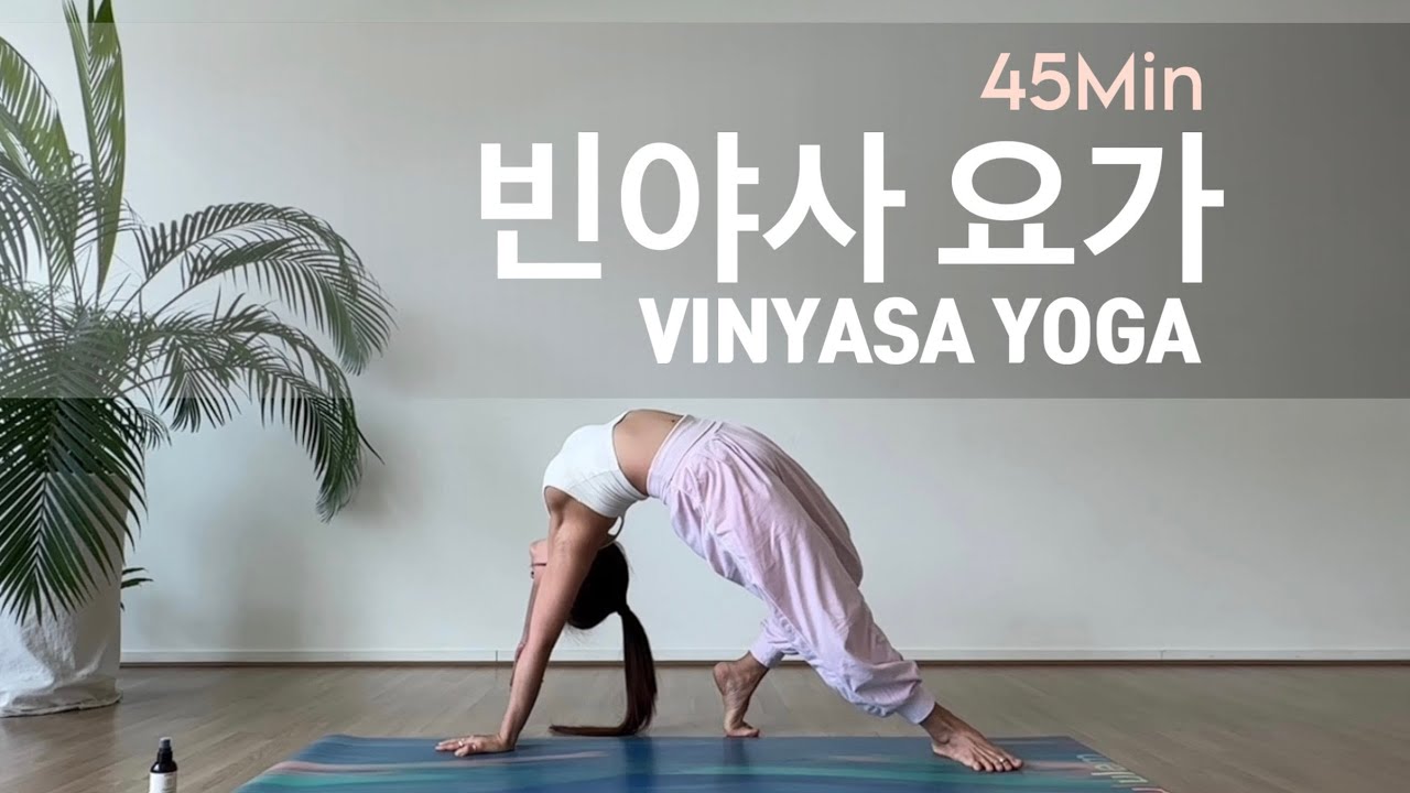 [캄요가] 빈야사요가 | 초급 | 척추 유연성 | 와일드씽 | 45Min