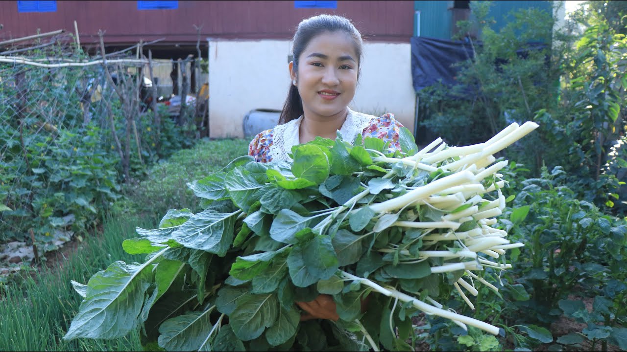 Have you ever cooked this vegetable at home? / White Amaranthus  / Cooking with Sreypov