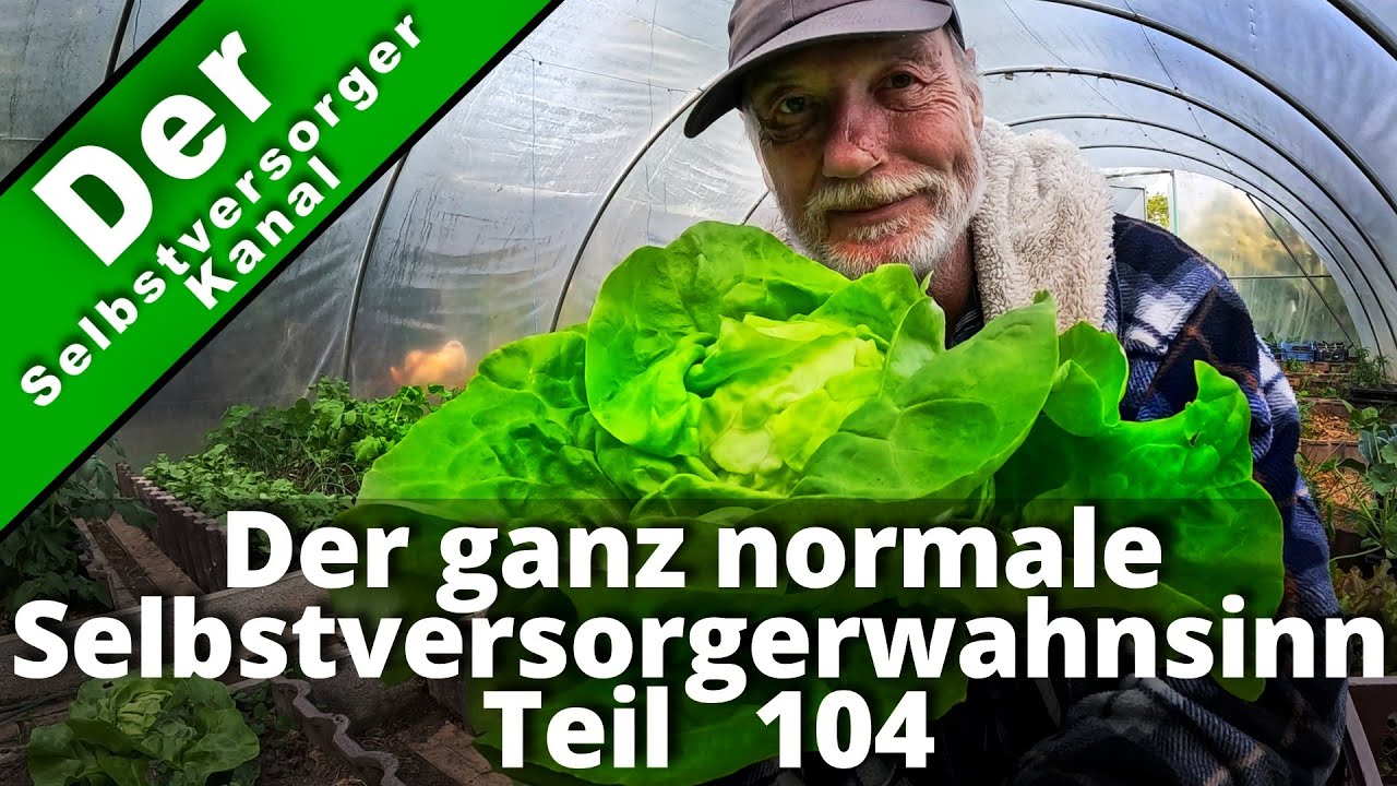 So lief das Frühjahr im Folientunnel