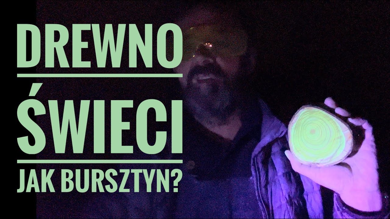 Tego nie uczą w szkole... Mordowanie korników, tlen od Paulowni, świecące drewno Sumak
