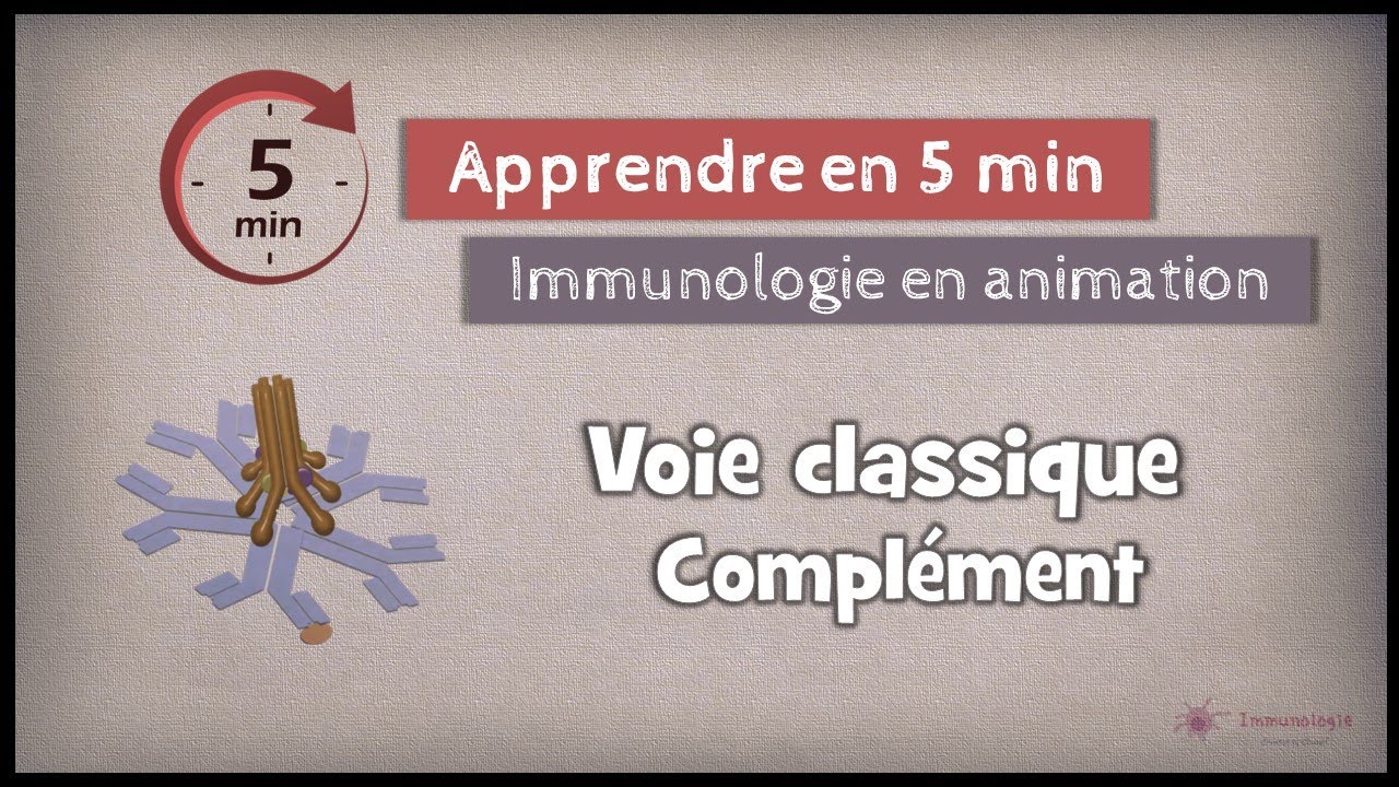 14-2◽La voie classique du compl&eacute;ment